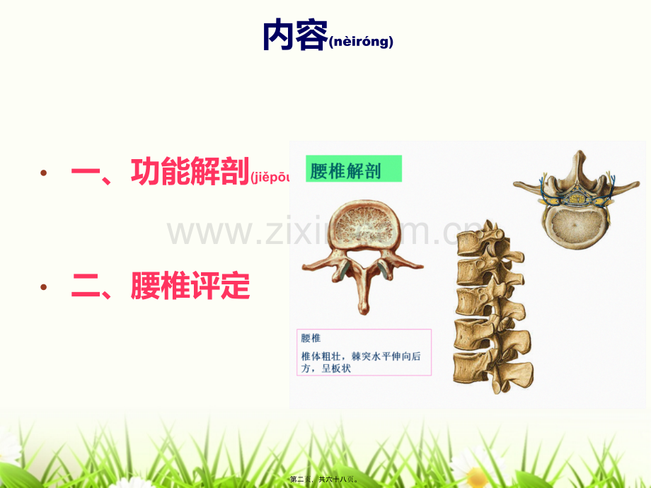 腰椎的康复评定1.ppt_第2页