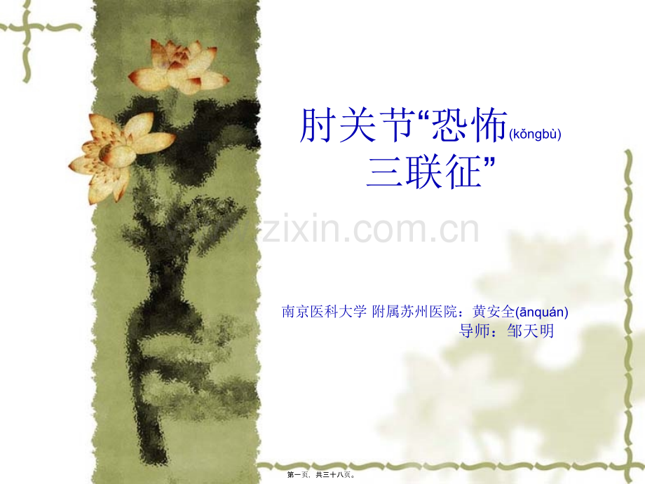 肘关节恐怖三联征.ppt_第1页