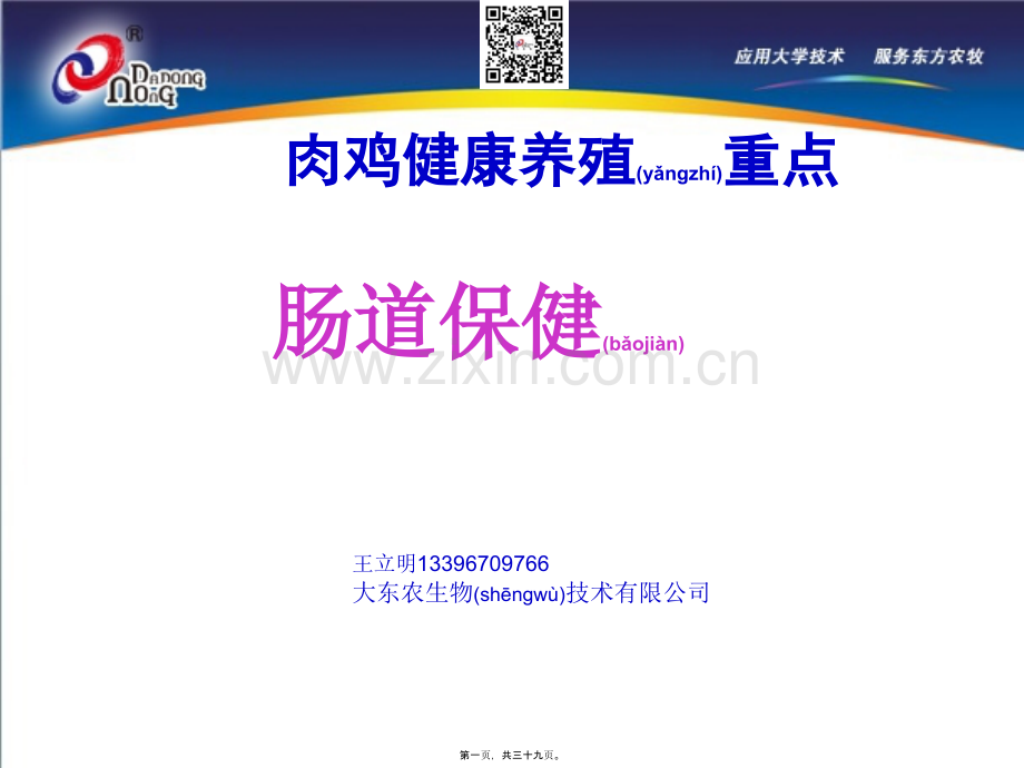 肉鸡养殖关键是肠道健康.ppt_第1页