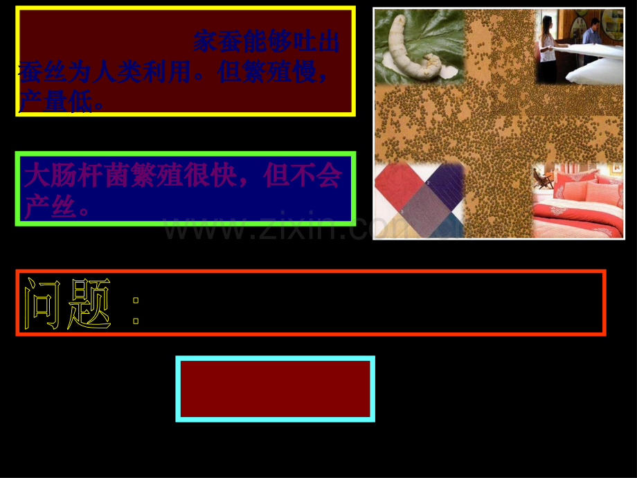人和动物体内三大营养物质的代谢.ppt_第2页