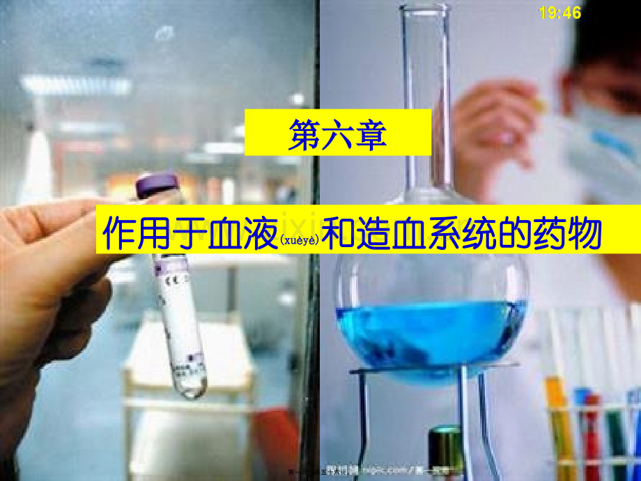 -血液造血.ppt_第1页