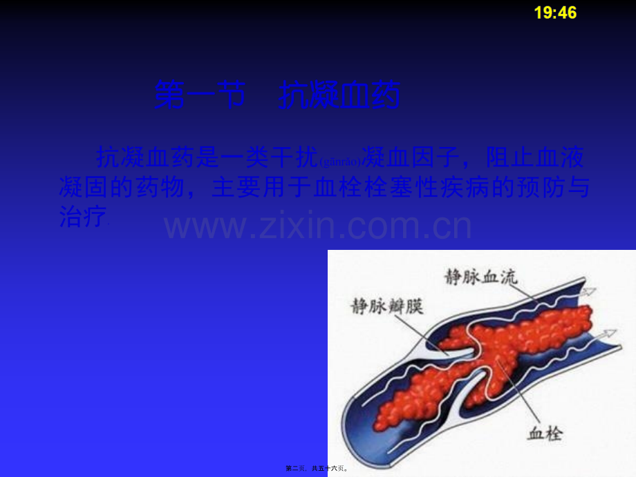 -血液造血.ppt_第2页
