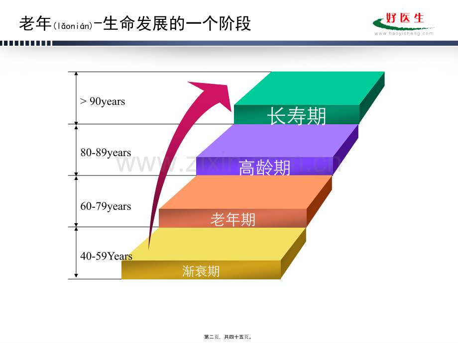 老年患者的代谢特点与营养支持(北京医院).ppt_第2页
