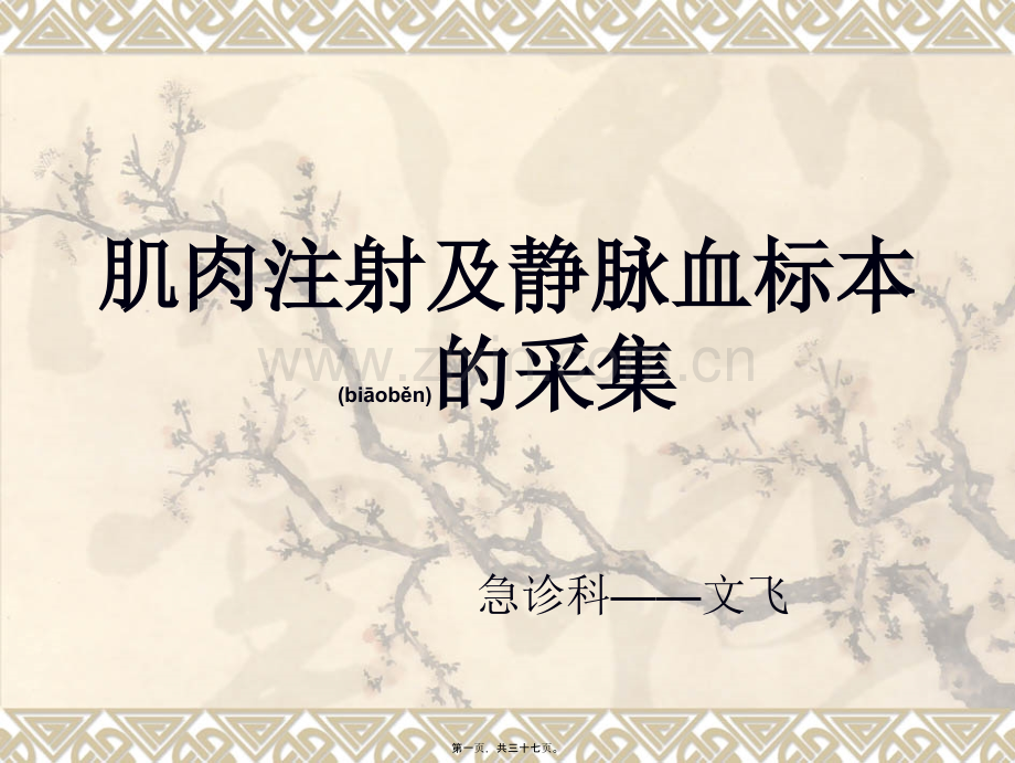 肌肉注射及静脉血标本采集.ppt_第1页