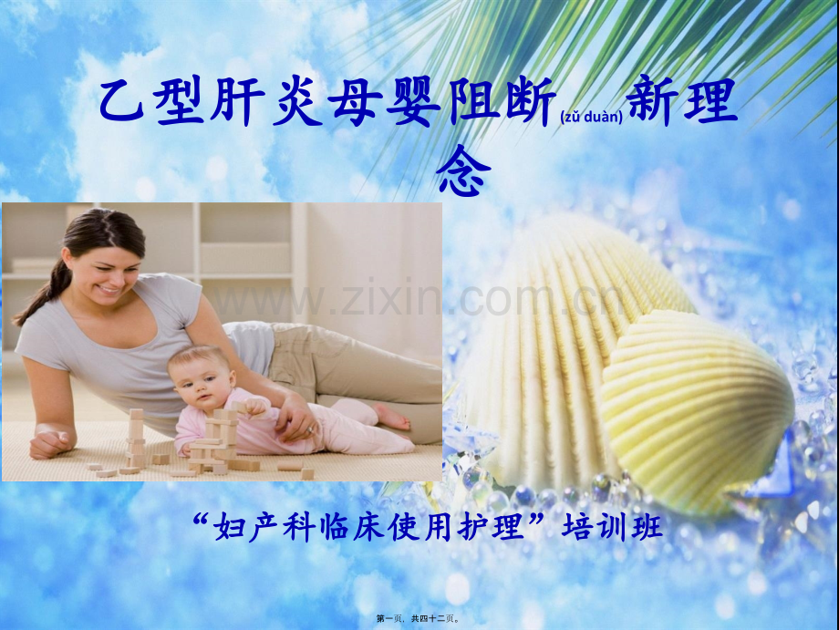 乙型肝炎母婴阻断新理念.ppt_第1页