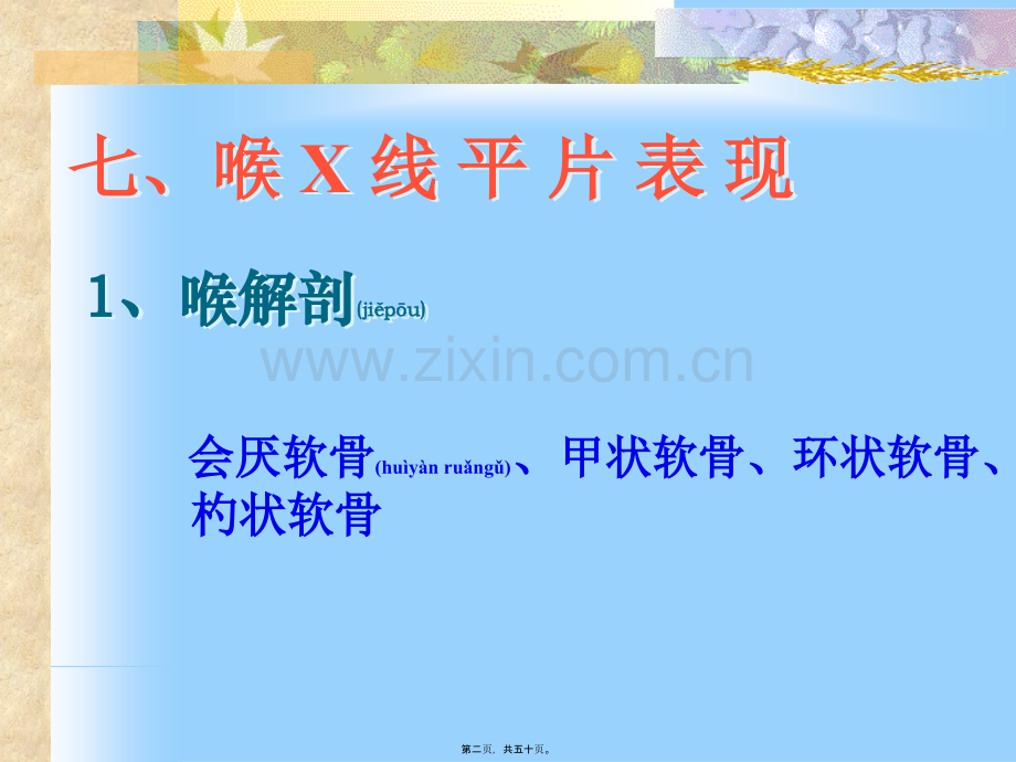 胸片广医一院.ppt_第2页