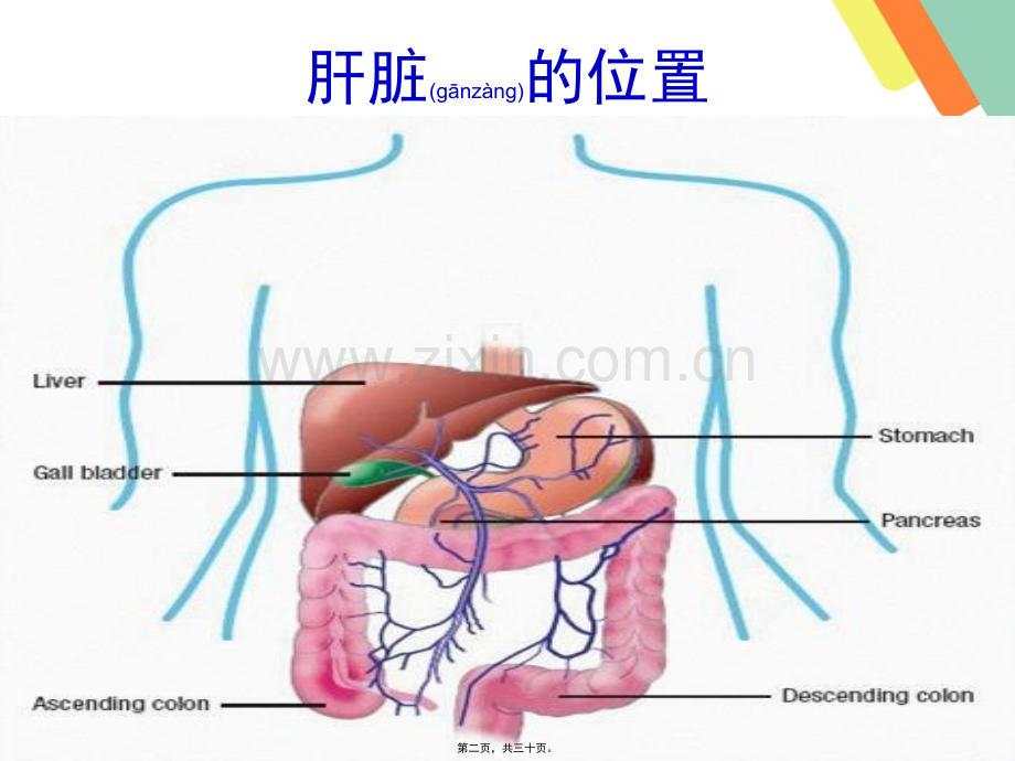 肝病及干扰素相关知识-腹水浓缩回输术.ppt_第2页
