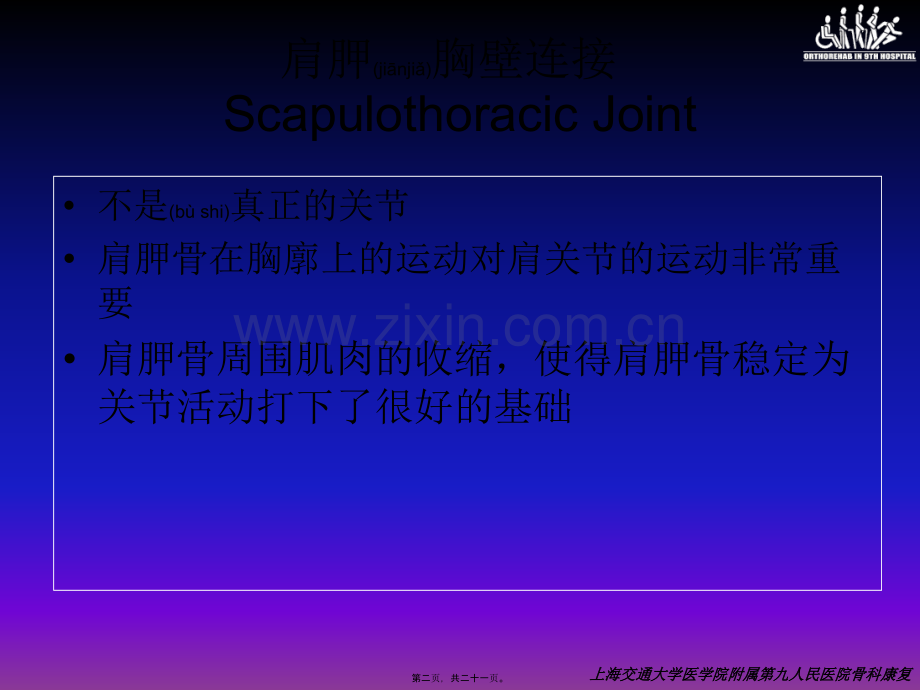 肩胛骨稳定训练.ppt_第2页