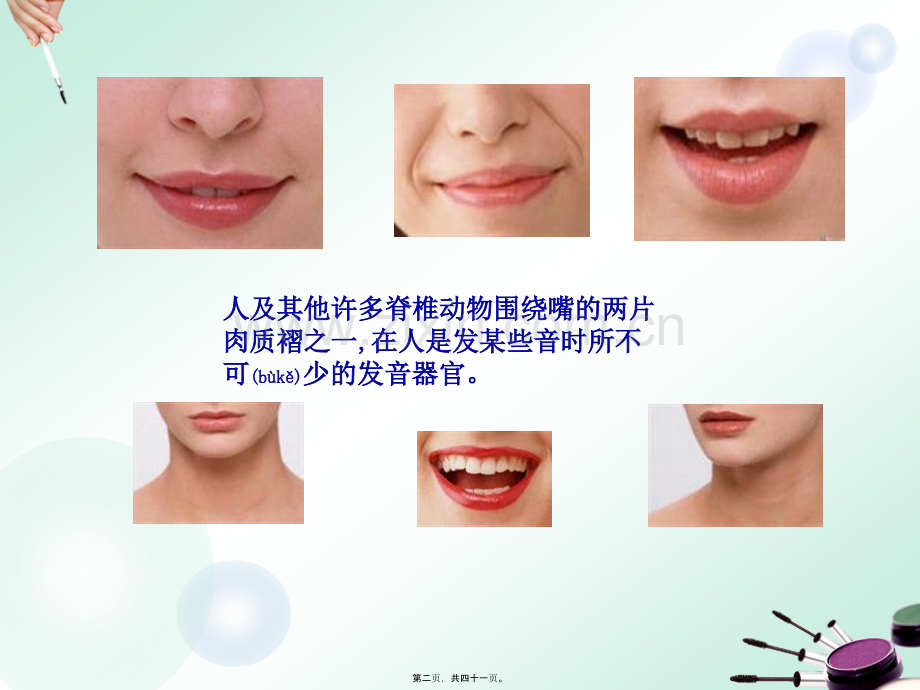美容营养学之红唇版块.ppt_第2页