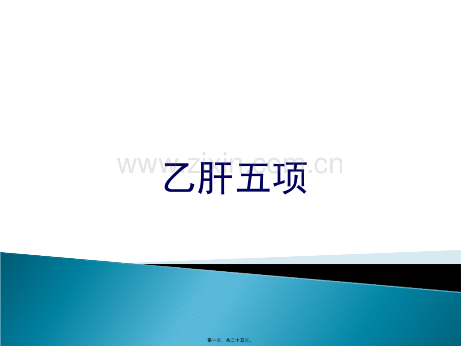 乙肝五项修改版汇总.ppt_第1页