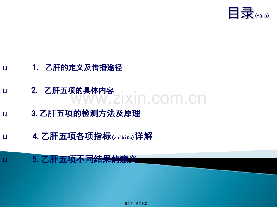 乙肝五项修改版汇总.ppt_第2页