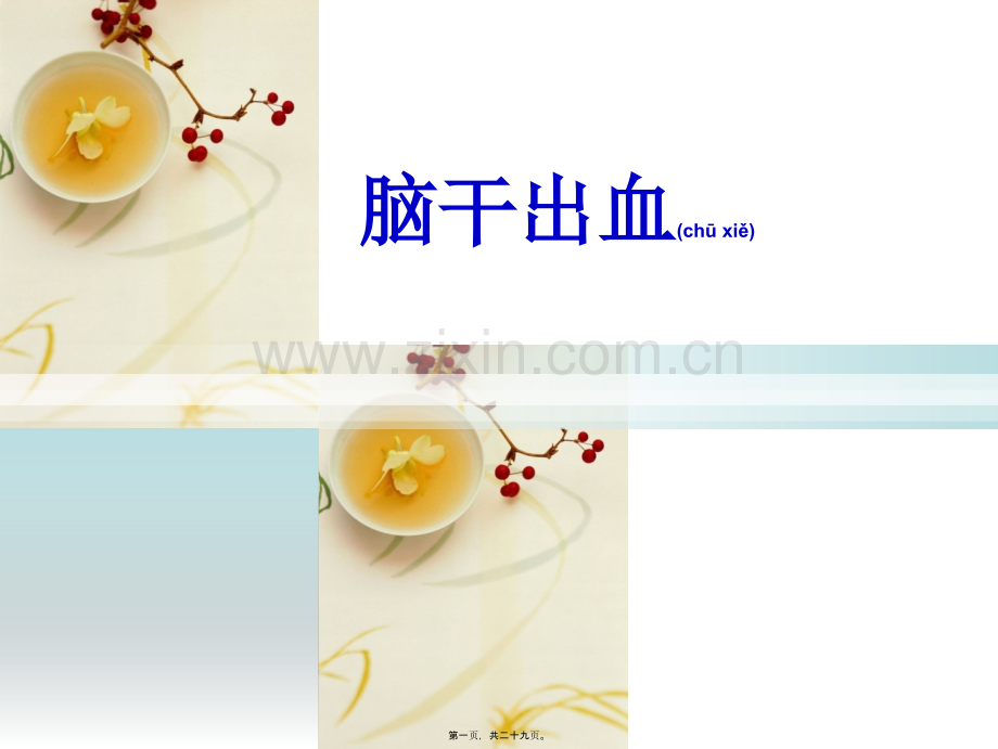 脑干梗塞和出血.ppt_第1页