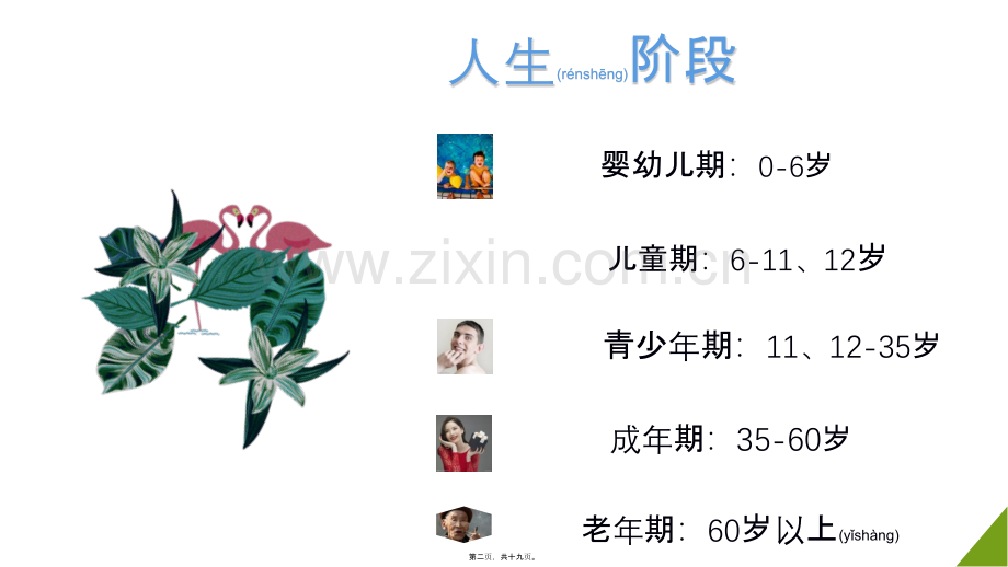 老人和儿童.pptx_第2页