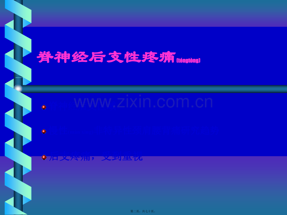 脊神经后支痛的诊疗及进展.ppt_第2页