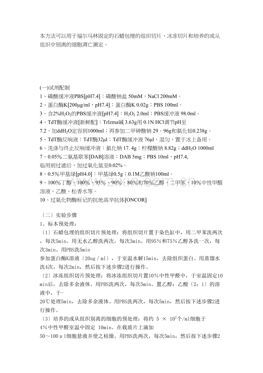 TUNEL染色检测细胞凋亡.docx_第2页