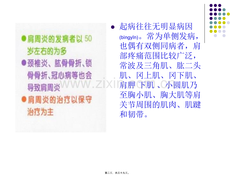 肩周炎PPT.ppt_第2页