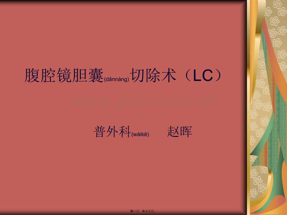 腹腔镜胆囊切除术.ppt_第1页