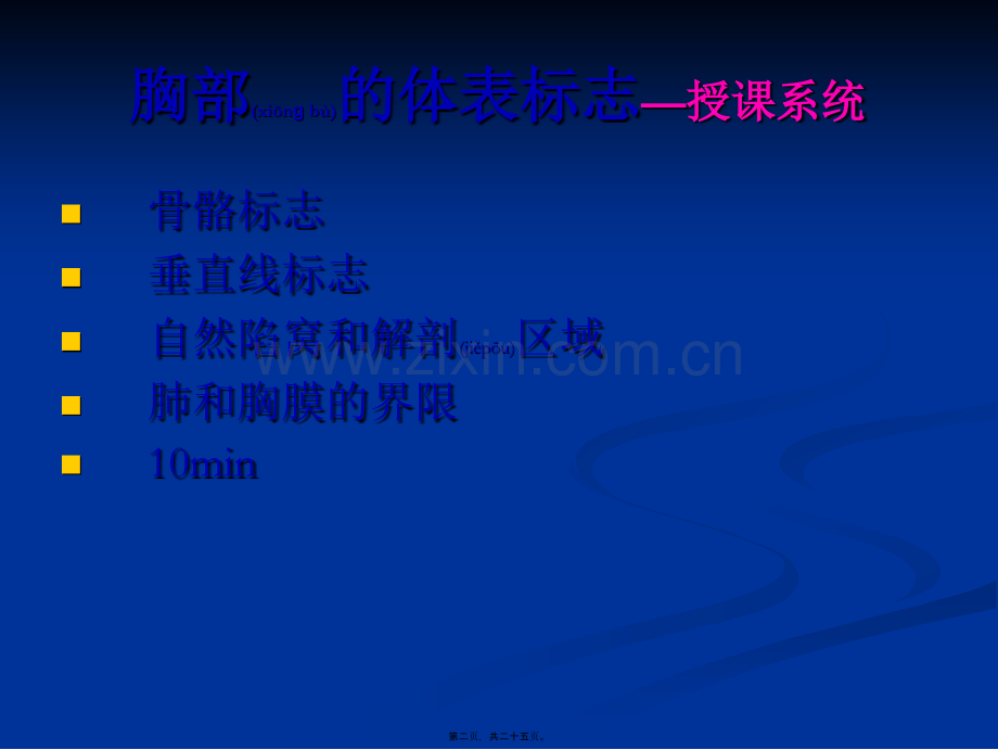 胸肺部检查(视触叩).ppt_第2页