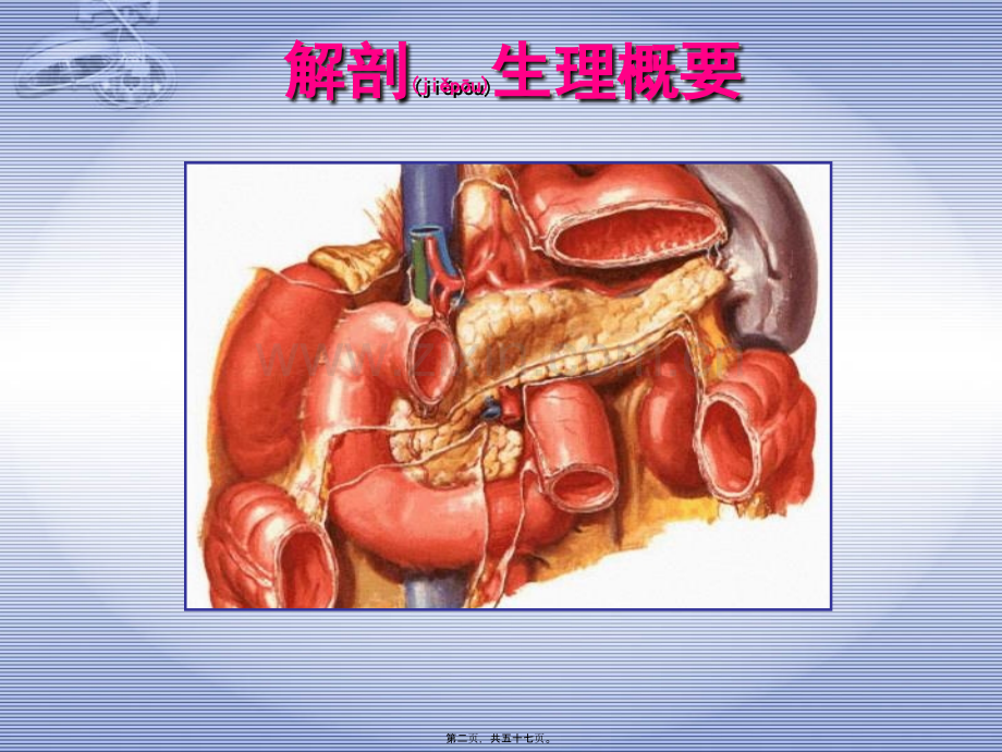 胰-腺-疾-病---第三军医大学西南医院全军肝胆外科研究所.ppt_第2页
