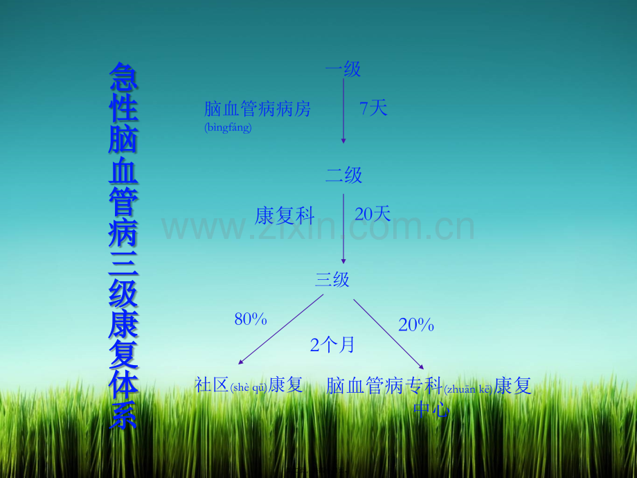 脑血管病康复.ppt_第2页