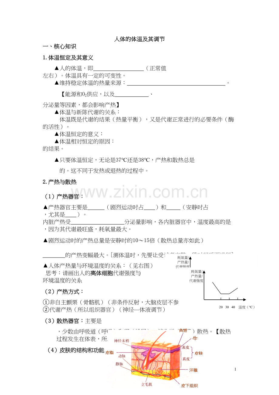 人体的体温及其调节.docx_第1页
