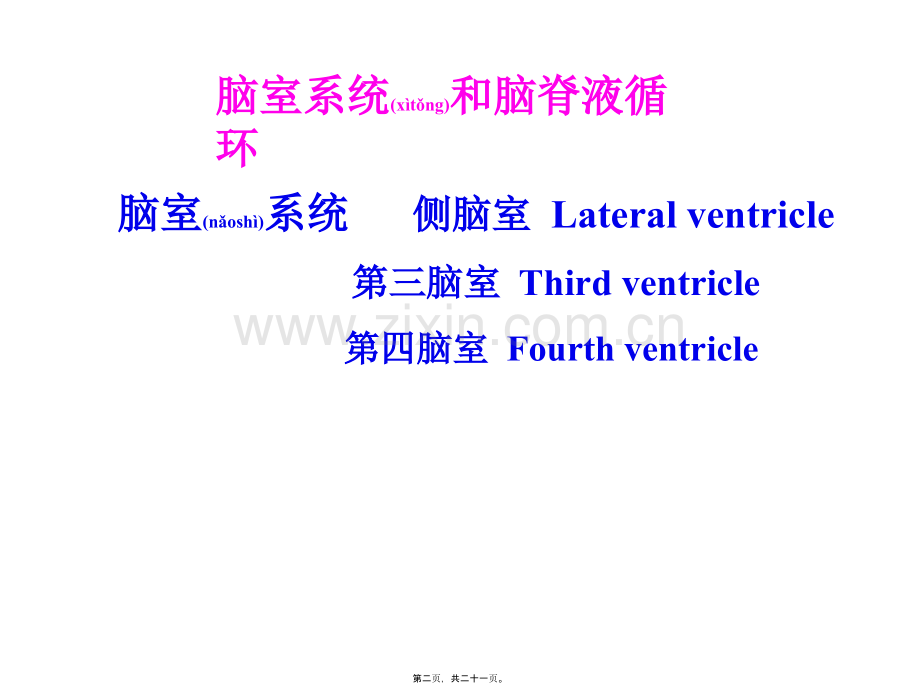 脑室系统和脑脊液循环.ppt_第2页