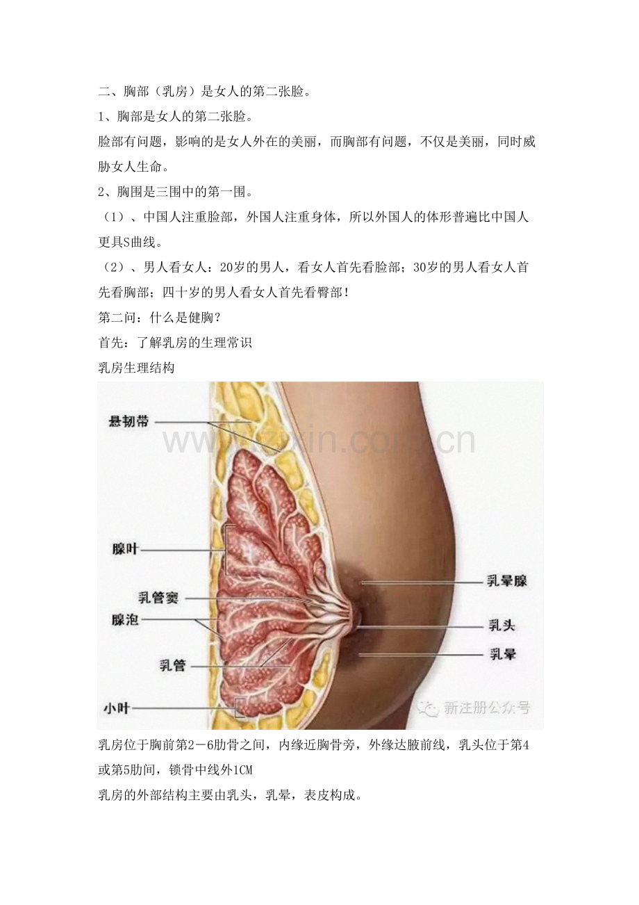 胸部健康知识.docx_第2页