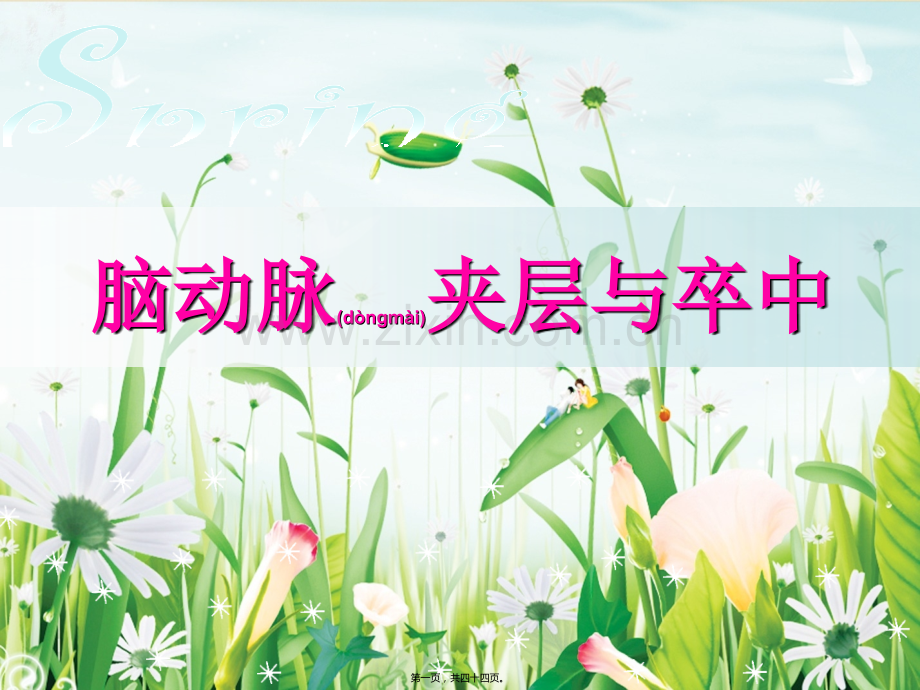 脑动脉夹层要点.ppt_第1页