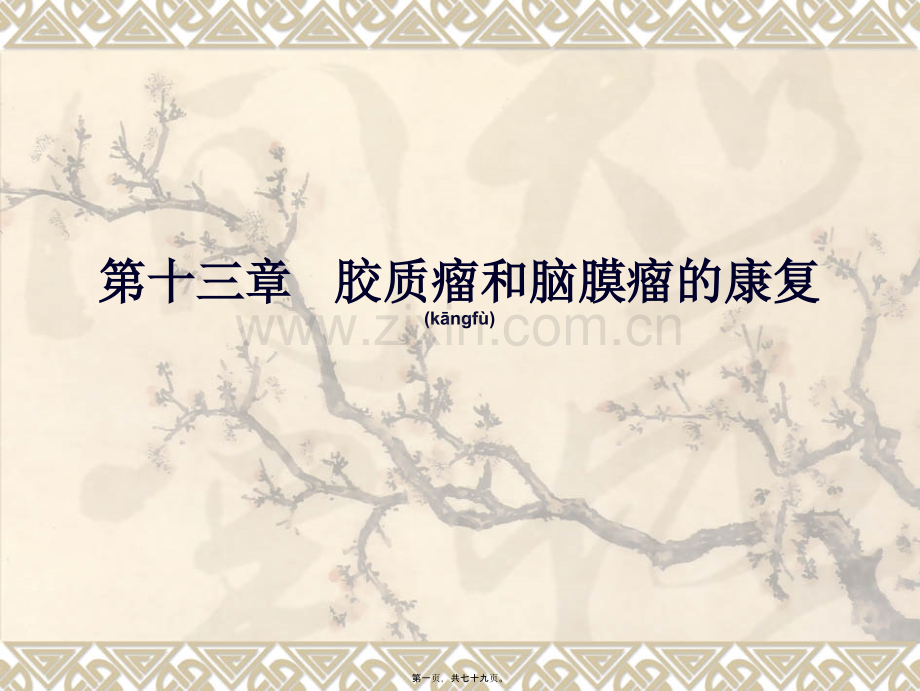 胶质瘤与脑膜瘤.ppt_第1页