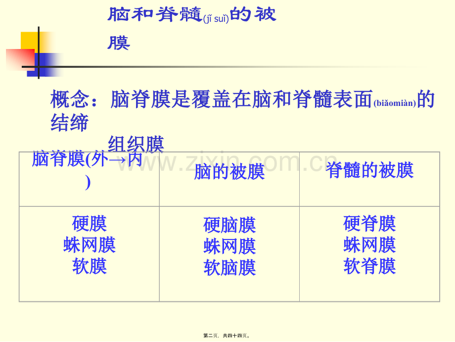 脑和脊髓被膜、血管、脑脊液循环-10影像、针推.ppt_第2页