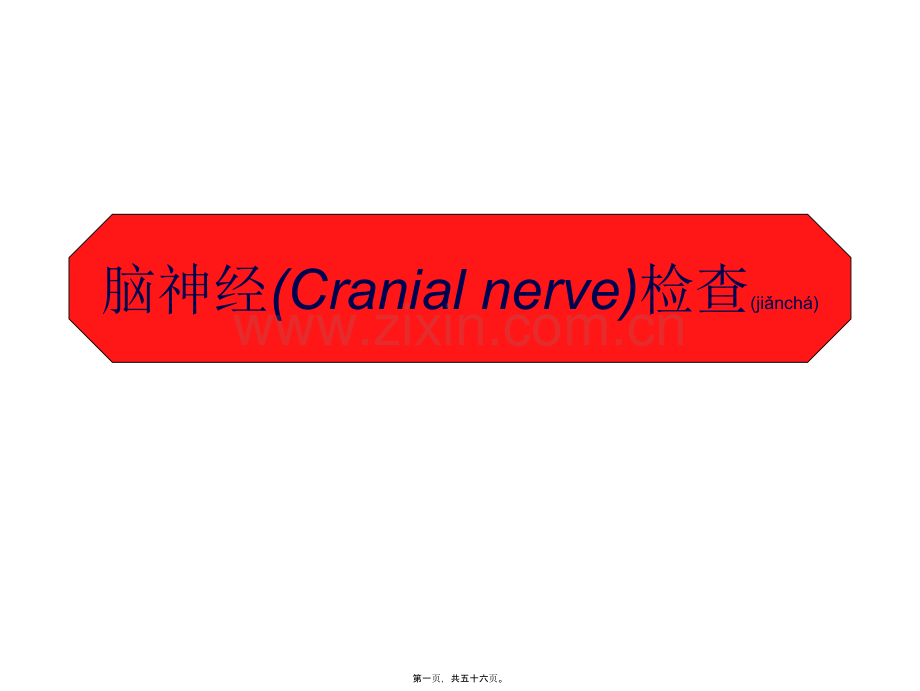脑神经传导径路及体格检查.ppt_第1页
