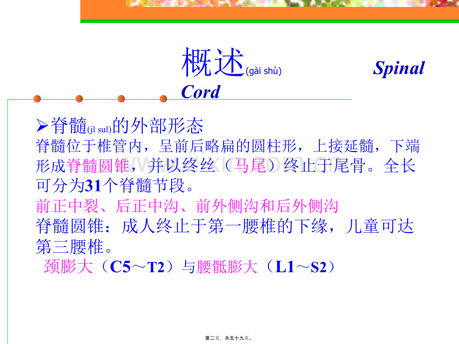 脊髓炎.ppt_第2页