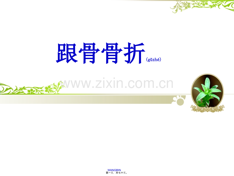 跟骨骨折.ppt_第1页