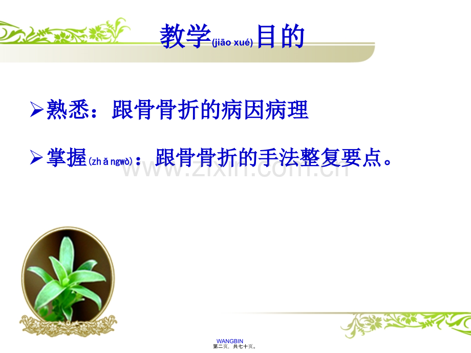 跟骨骨折.ppt_第2页