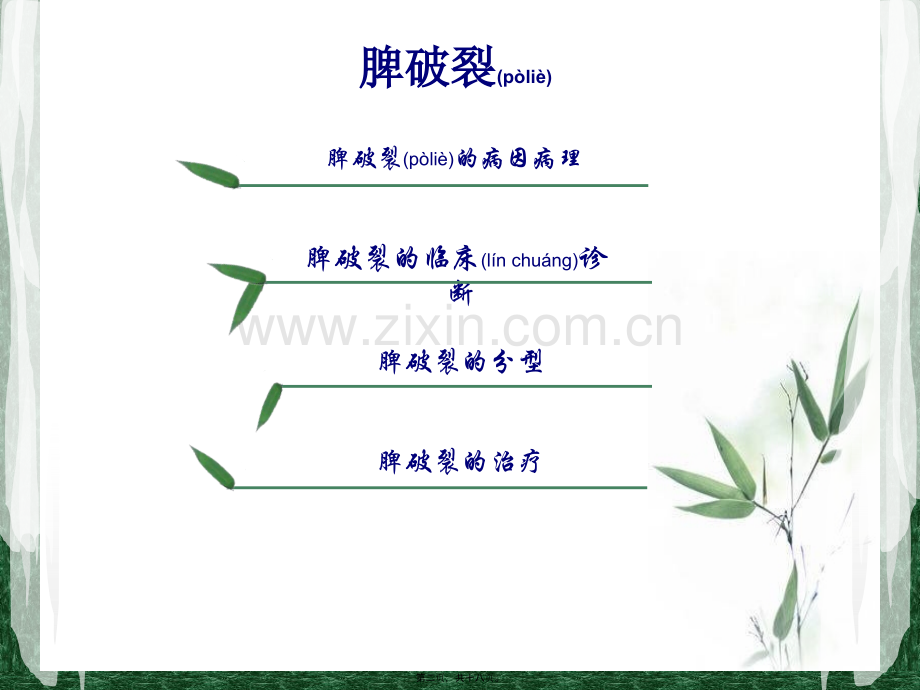 脾破裂的诊治.ppt_第2页