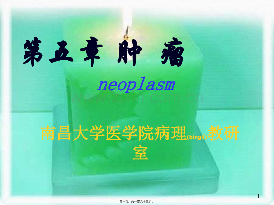 肿----瘤3-1.ppt_第1页