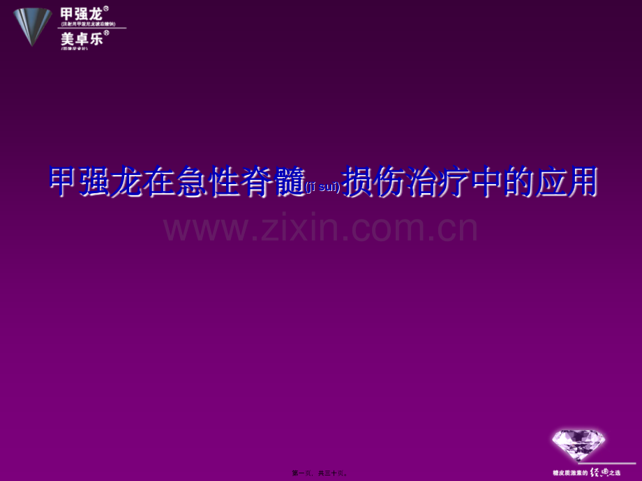 脊髓损伤激素的使用PIM幻灯.ppt_第1页