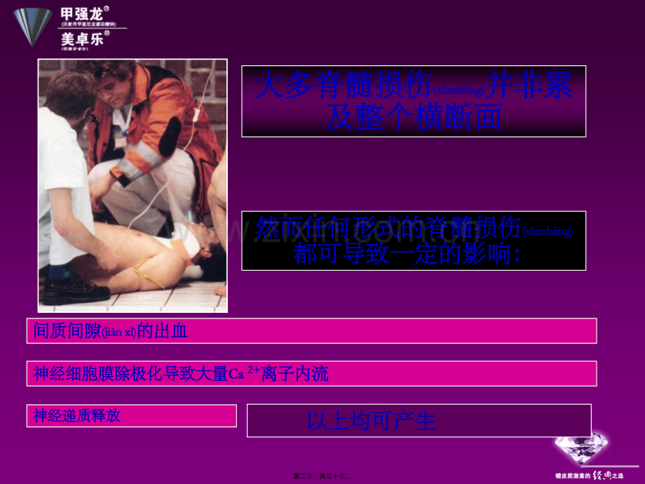 脊髓损伤激素的使用PIM幻灯.ppt_第2页