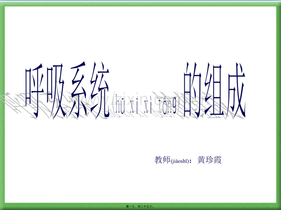人体的呼吸PPT.ppt_第1页