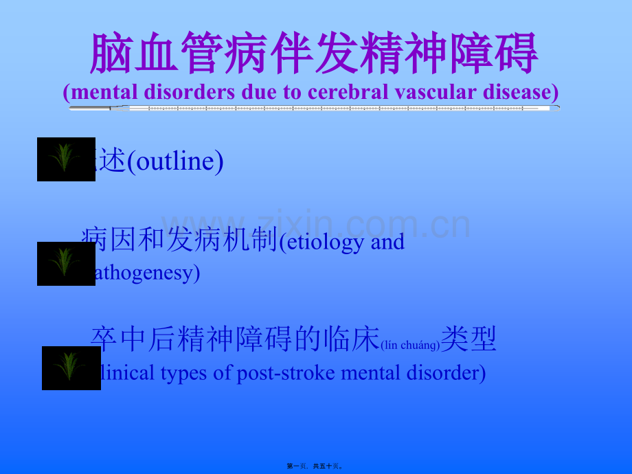 脑血管病伴发精神障碍.ppt_第1页