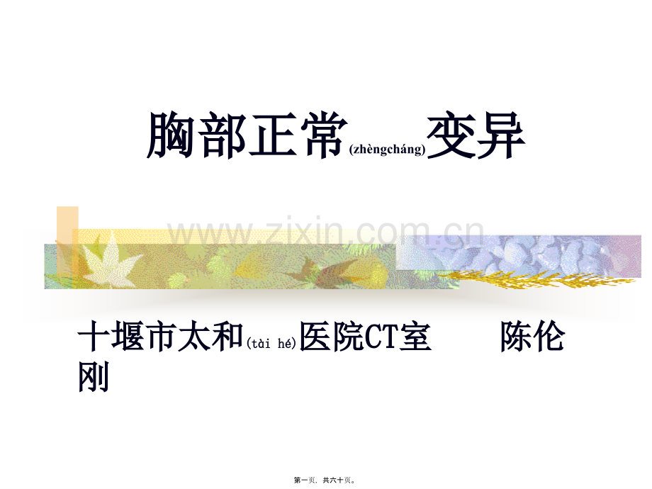 胸部正常变异.ppt_第1页