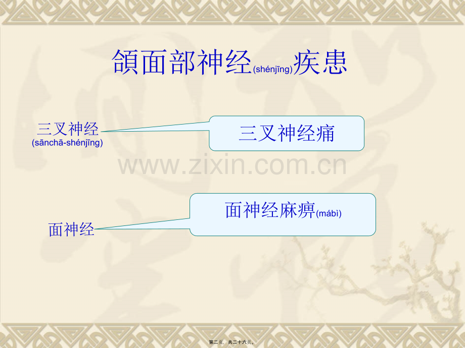 三叉神经痛-2.ppt_第2页