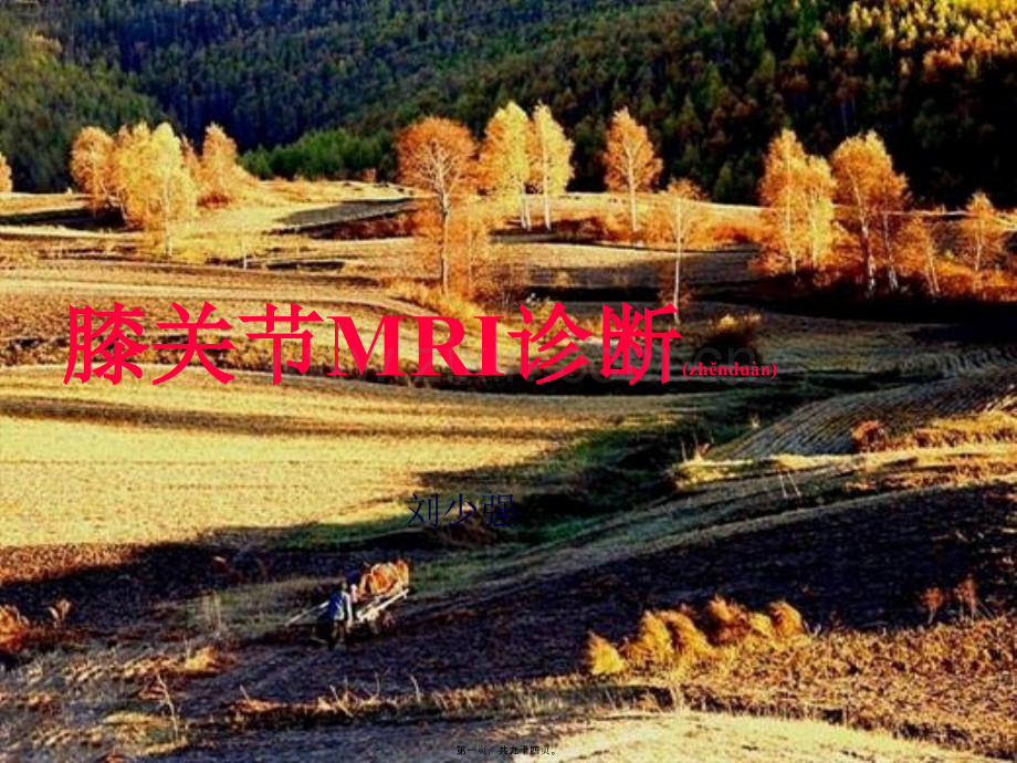 膝关节MRI检查.ppt_第1页