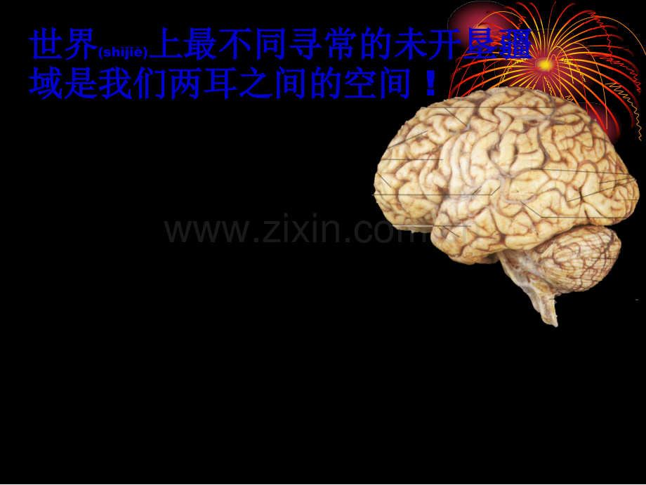 脑的功能.ppt_第2页
