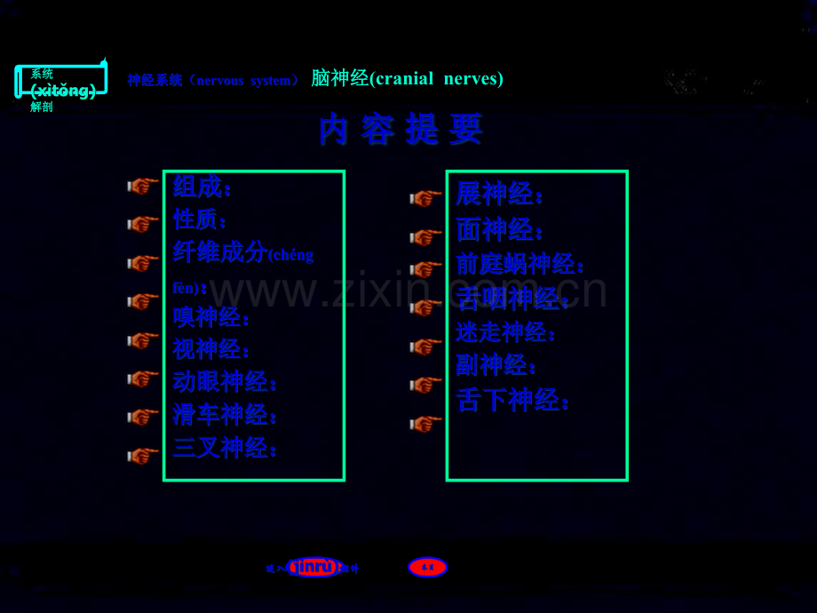 脑神经8上课.ppt_第1页