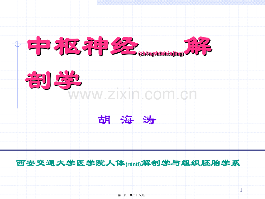脑泡的发育.ppt_第1页