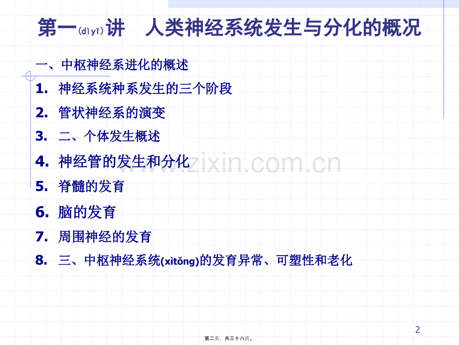 脑泡的发育.ppt_第2页