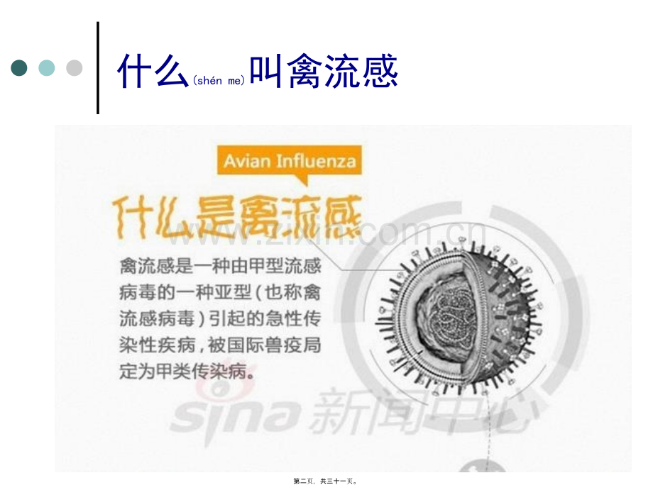人感染H7N9禽流感诊治流程.ppt_第2页