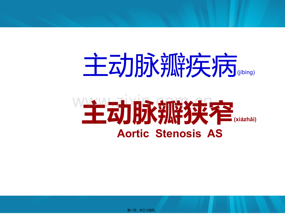 主动脉瓣+肺动脉瓣.pptx_第1页