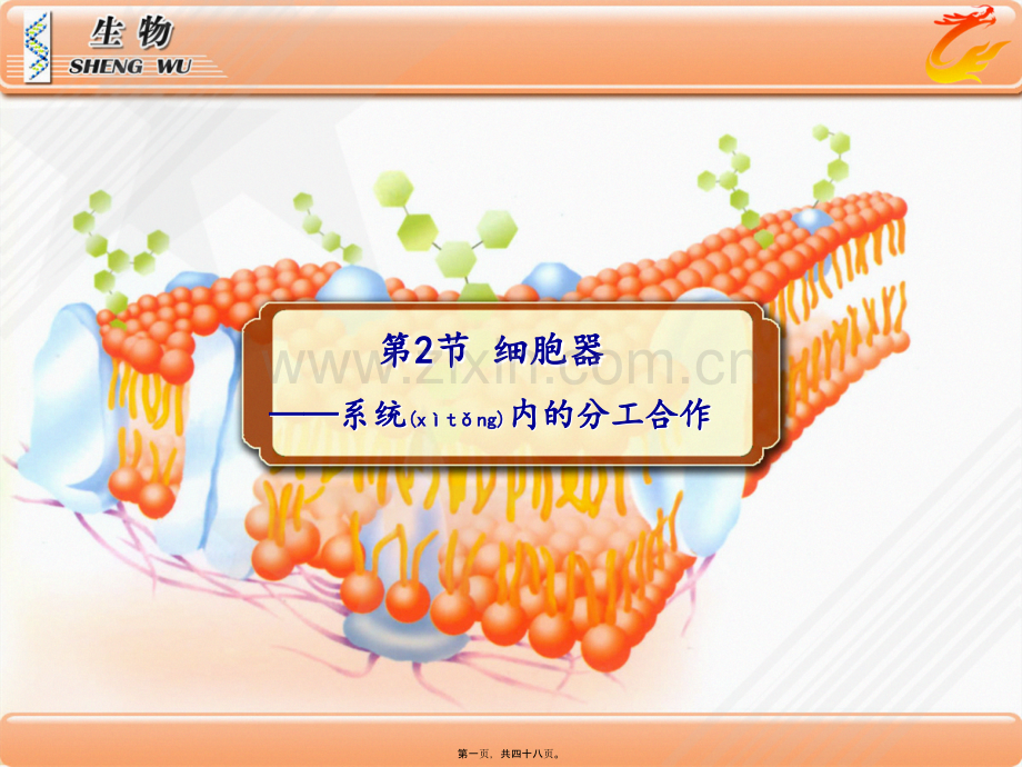 三钢二-细胞器完美版.ppt_第1页